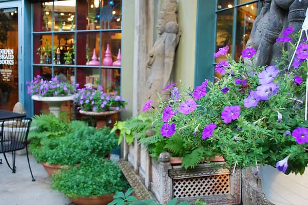 Oasis Cafe